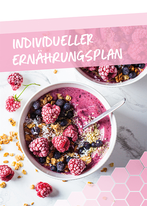Cover Mein Ernährungsplan Cover Mein Ernährungsplan