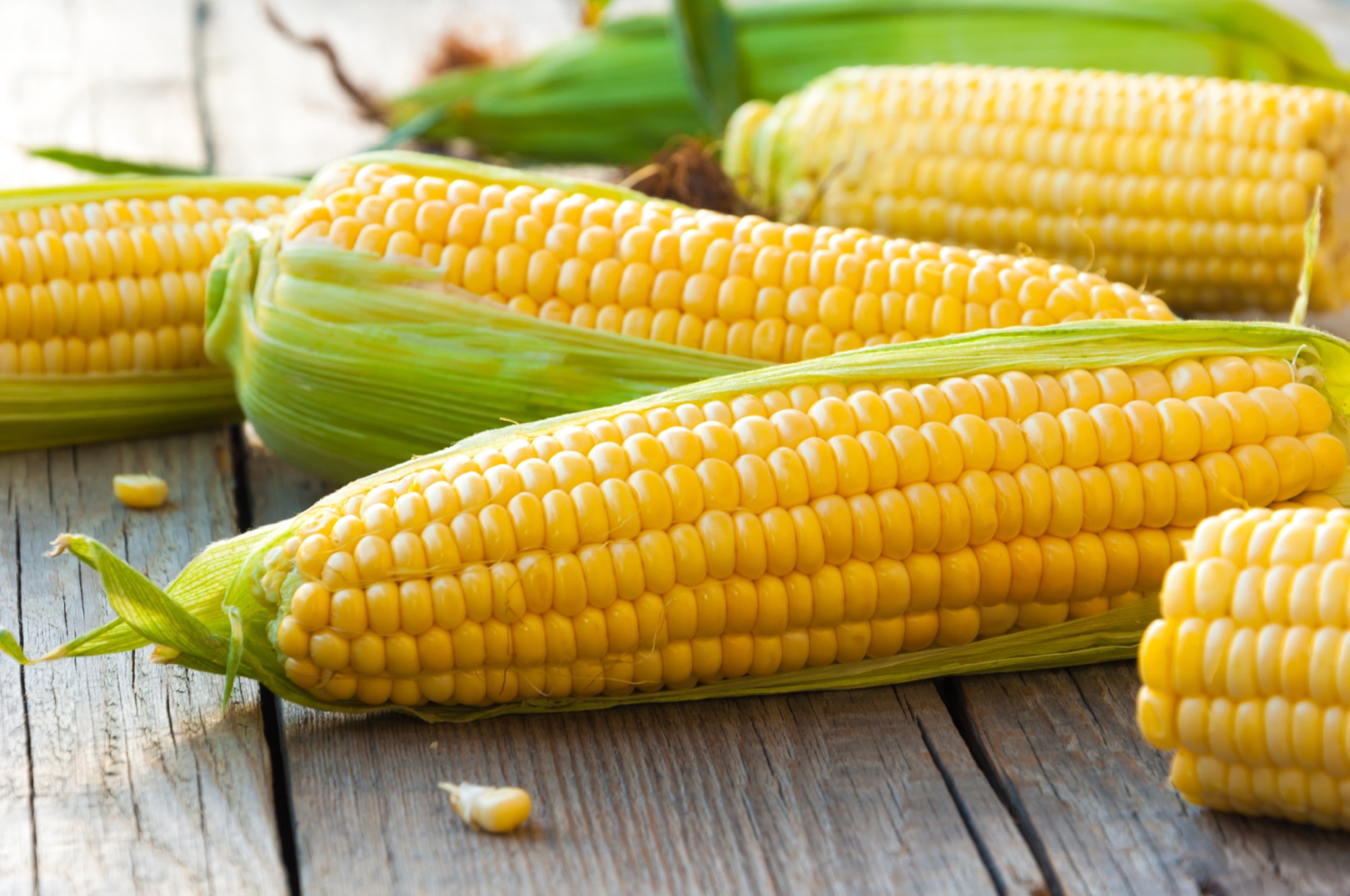 Mais – mehr als nur Popcorn