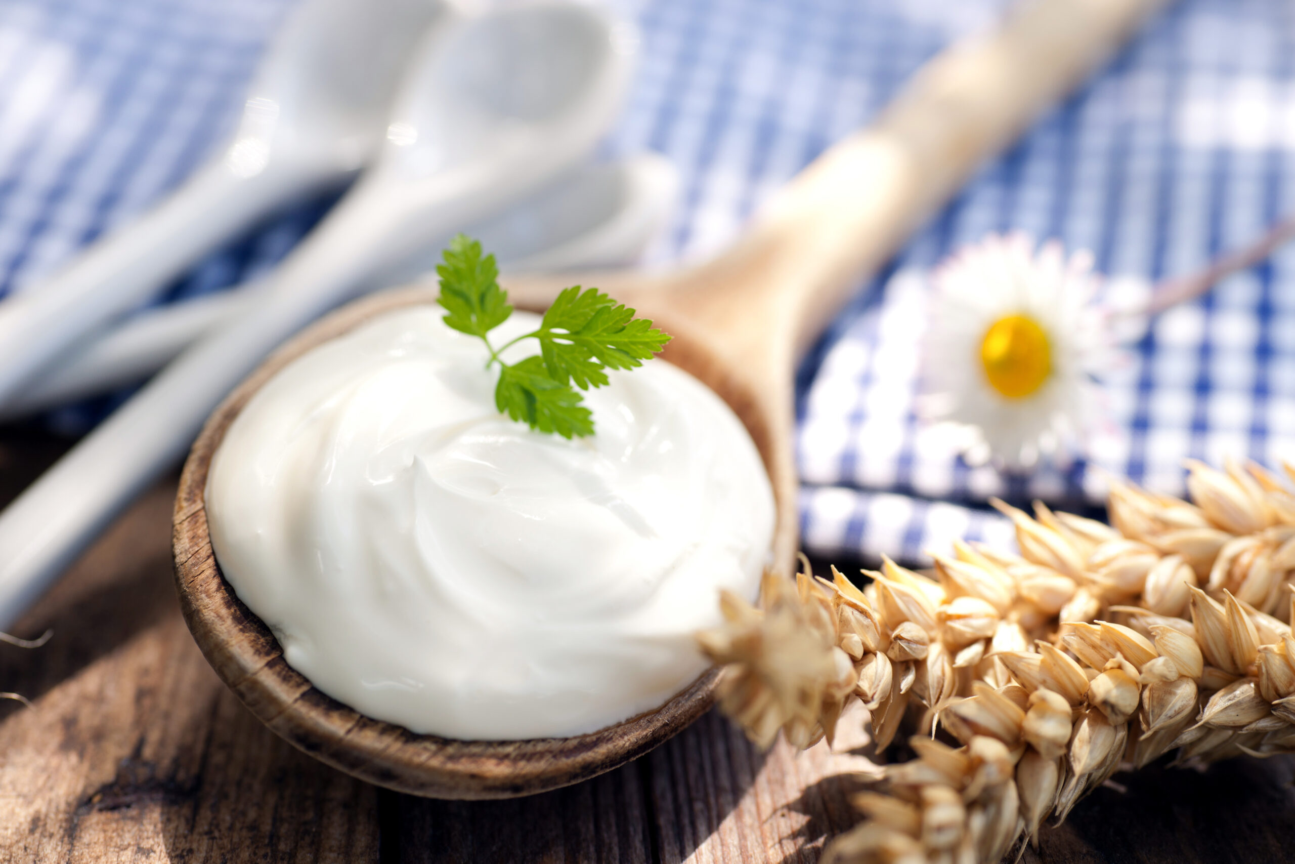 Kennst Du die Unterschiede zwischen Sahne, Saurer Sahne, Creme Fraiche, Schmand und Co?