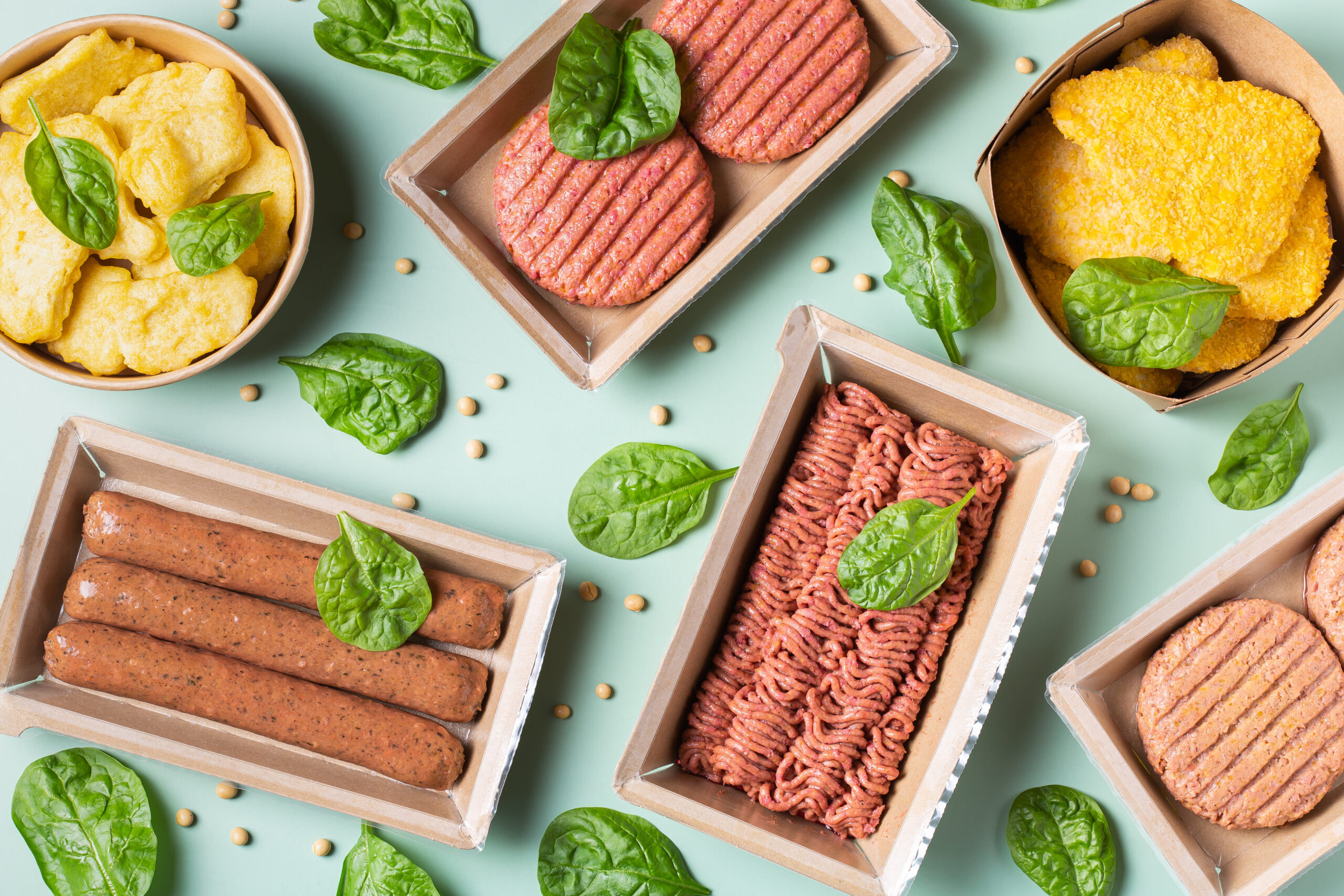 Pflanzlicher Fleischersatz, das „Fleisch der Zukunft“? Pflanzlicher Fleischersatz, das „Fleisch der Zukunft“?